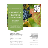 Pruning & Tasting Experience at Buzzards Valley Vineyard (Jan–Feb)