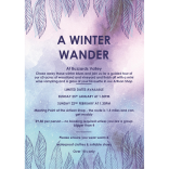 A Winter Wander at Buzzards Valley