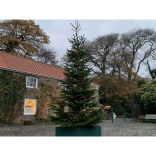 Christmas Courtyard Market 2025