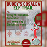 Buddy's Elf Trail at Cosalea Walshaw