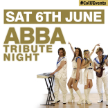 ABBA Tribute Night 