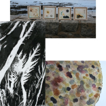 'Earth Matters' an art exhibition by Bridget Spinney