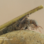 Children's Holiday Activity Day