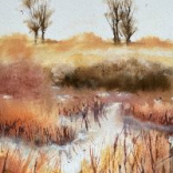 Kirstie Edwards First Solo Exhibition