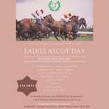 LADIES ASCOT DAY AT CALDERFIELDS, WALSALL✨🏇