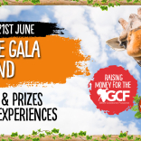 Giraffe Gala Weekend 20th - 21st June