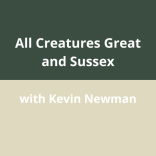 All Creatures Great & Sussex – A Family Talk on Animals from Sussex’s Past