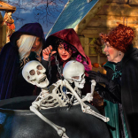 Hocus Pocus Halloween