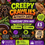 Creepy Crawley Activity Day!
