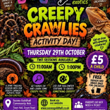 Creepy Crawley Activity Day!