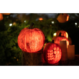 Little Stars Halloween Charity Ball returns to Shrewsbury