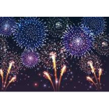 Wyvern Firework Display