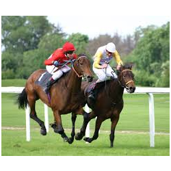 National Hunt Racing at Taunton Racecourse