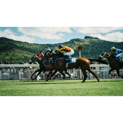 Eyton Races in Shropshire