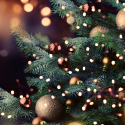 Christmas Party Nights at Huish Park