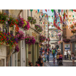 Town Walks