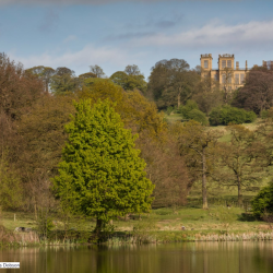 Walk for Parkinson's - Hardwick Hall - Saturday 2nd July - 4:30pm