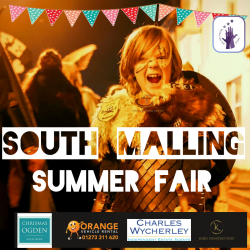 The Maul at Malling: South Malling Summer Fair