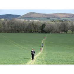 Shropshire Way 80K Festival