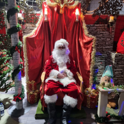 Christmas Fun Day and Santa's Woodland Grotto 