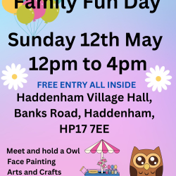 Haddenham Family Fun Day 