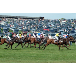 See the Dingley Races Fixtures for 2024