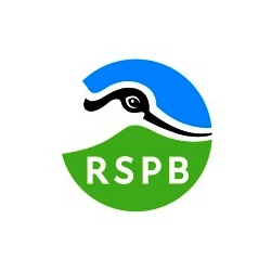 RSPB - Wirral Local Group - "Ospreys at Lake Brenig" - Sarah Callon