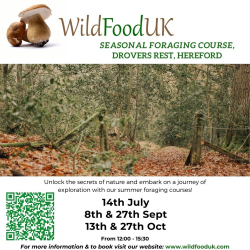 Summer & Autumn  Foraging with Wild Food UK