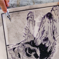 Printmaking for Beginners