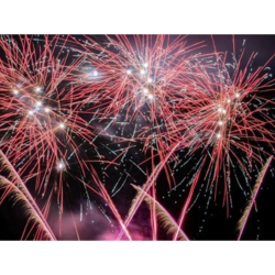 Bonfire Night - Oake Manor