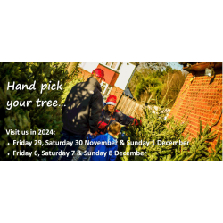 4th Ewell (Nonsuch) Scouts Christmas Tree Sale @nonsuchtrees you can visit or order online