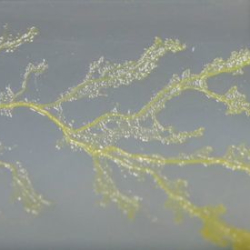 Mind + Matter: Towards Co-Creation (FREE Art/ Science Exhibition)
