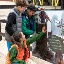 Spring Nature Trail