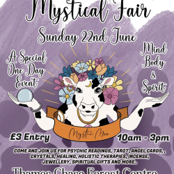 Mystical Fair - Mind Body Spirit & Wellbeing.