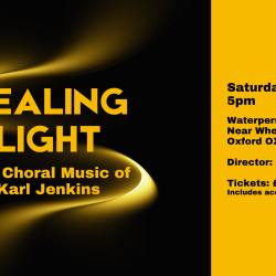 Healing Light - The Choral Music of Karl Jenkins - vOx Chamber Choir