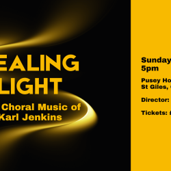 Healing Light - The Choral Music of Karl Jenkins - vOx Chamber Choir