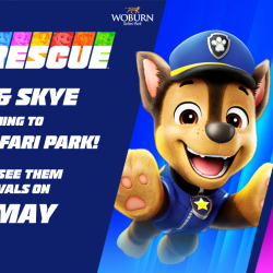 Come and see Chase and Skye from PAW Patrol!
