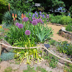 National Garden Wildlife Week At Deen City Farm