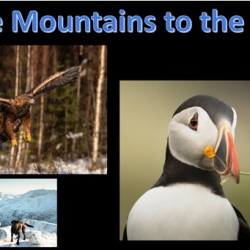 Wirral Bird Club - "The Mountains to the Sea" - Gary Jones