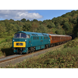 Summer Diesel Festival 2025 - WSR