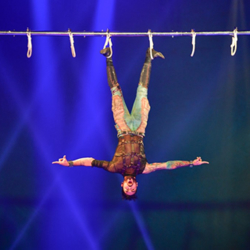 Circus Extreme