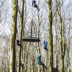 May Half Term Activities - Tree Climbing 