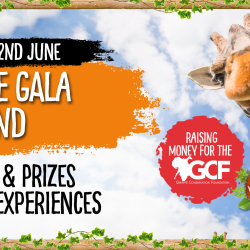 Giraffe Gala Weekend 21st - 22nd June 