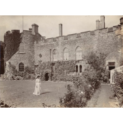 The Ark of History:  Taunton Castle and Museum