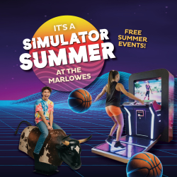 Simulator Summer! ☀