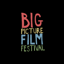 Big Picture Film Festival 2025