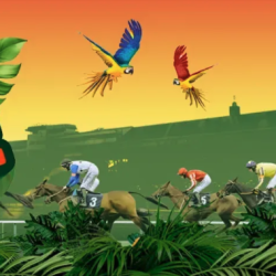 Rum & Reggae Carribean Racenight 