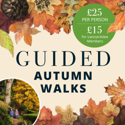Autumn Guided Walks 