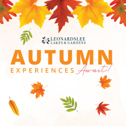 Autumn Workshops at Leonardslee Lakes & Gardens
