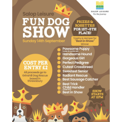 Fun Dog Show in Shrewsbury